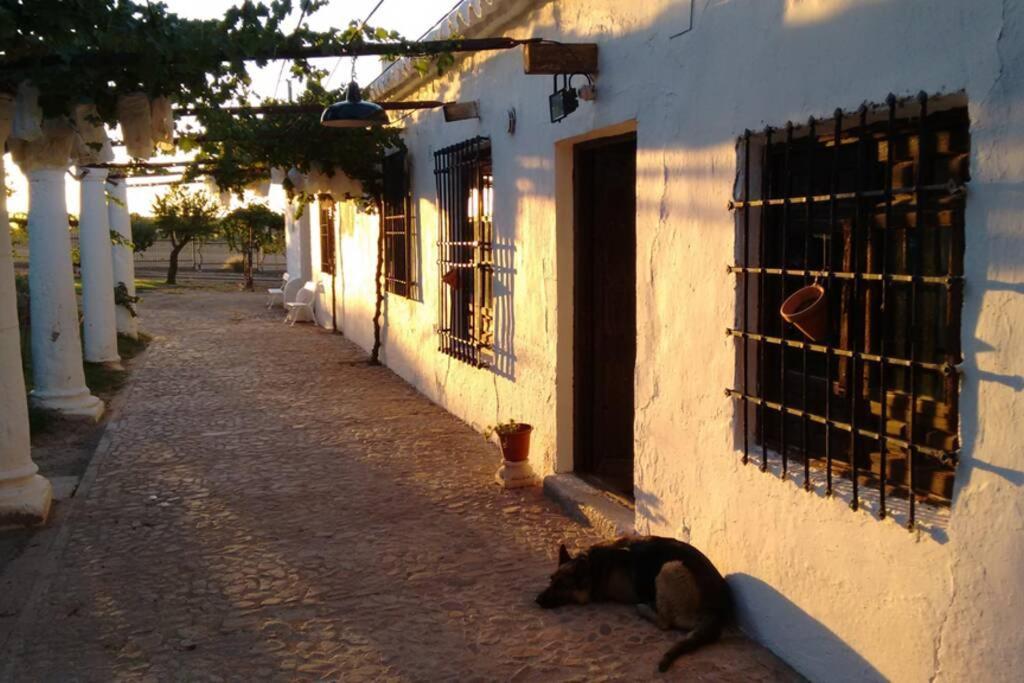 הוילה סיודאד ריאל Casa El Carmen מראה חיצוני תמונה