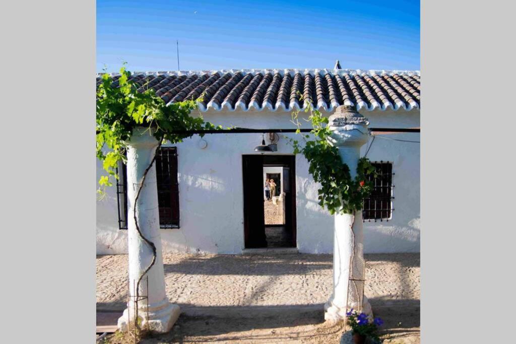 הוילה סיודאד ריאל Casa El Carmen מראה חיצוני תמונה