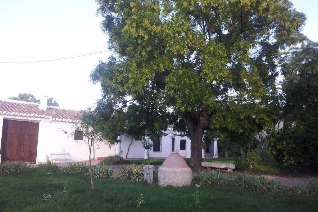 הוילה סיודאד ריאל Casa El Carmen מראה חיצוני תמונה